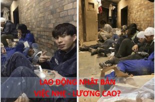 Đi lao động Nhật Bản có vất vả không Chọn việc gì lương cao 3-5 năm kiếm được bao nhiêu tiền