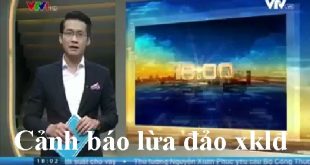 Cảnh báo lừa đảo xklđ tại tp hồ chí minh