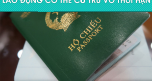 9 ngành nghề bổ sung cho phép người lao động cư trú vô thời han ở Nhật: nông nghiệp, hàng không, sản xuất công nghệ, sản xuất thực phẩm và đồ uống, dịch vụ thực phẩm, vệ sinh tòa nhà, khách sạn, đánh bắt cá và bảo dưỡng ô tô.